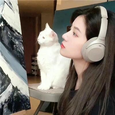 最美的安排